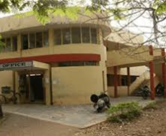 Primary Image